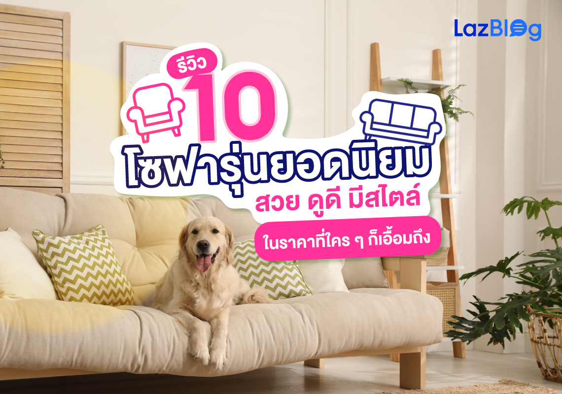 Lazblog_โซฟา