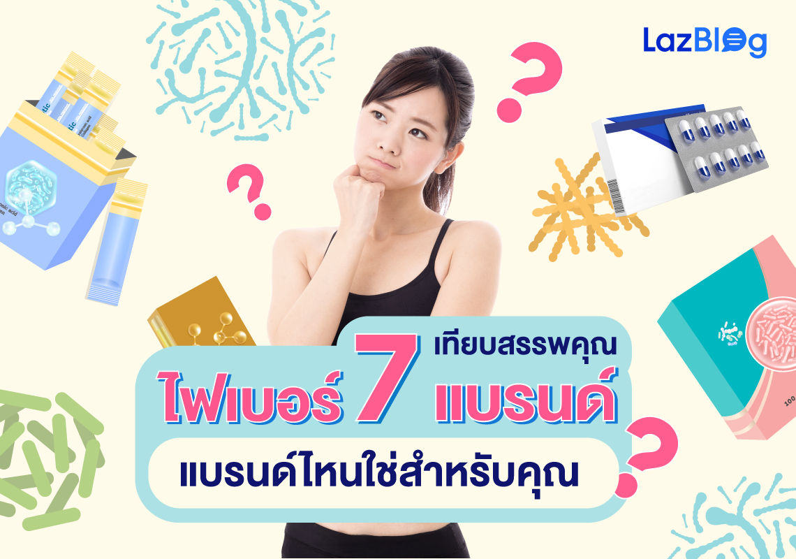 Lazblog_ไฟเบอร์