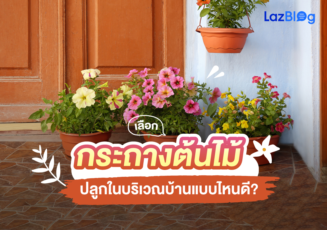 เลือก กระถางต้นไม้ ปลูกในบริเวณบ้านแบบไหนดี?